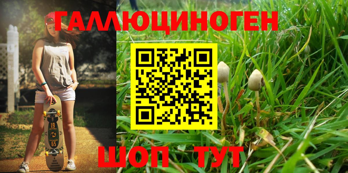Галлюциногенные грибы GOLDEN TEACHER Фролово